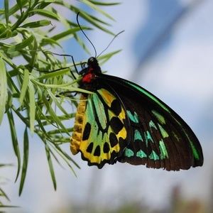 Meet your Posher, Judy